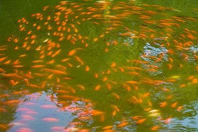 塔防棋盘肉鸽游戏《箭之岛屿》 现已在Steam发售